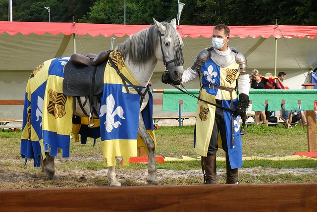 在这场比赛 在这场比赛