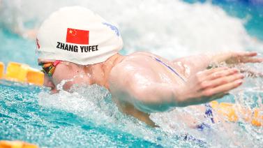 个人职业生 个人职业生