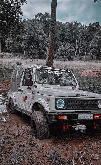 莱昂纳德在 莱昂纳德在