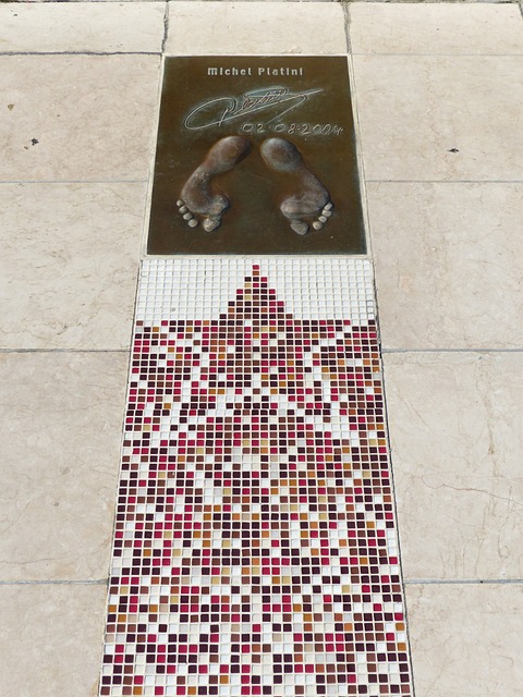 要的支持作 要的支持作