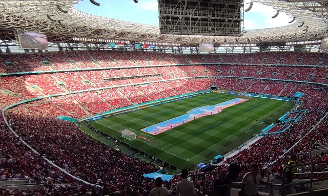 范尼来说 范尼来说