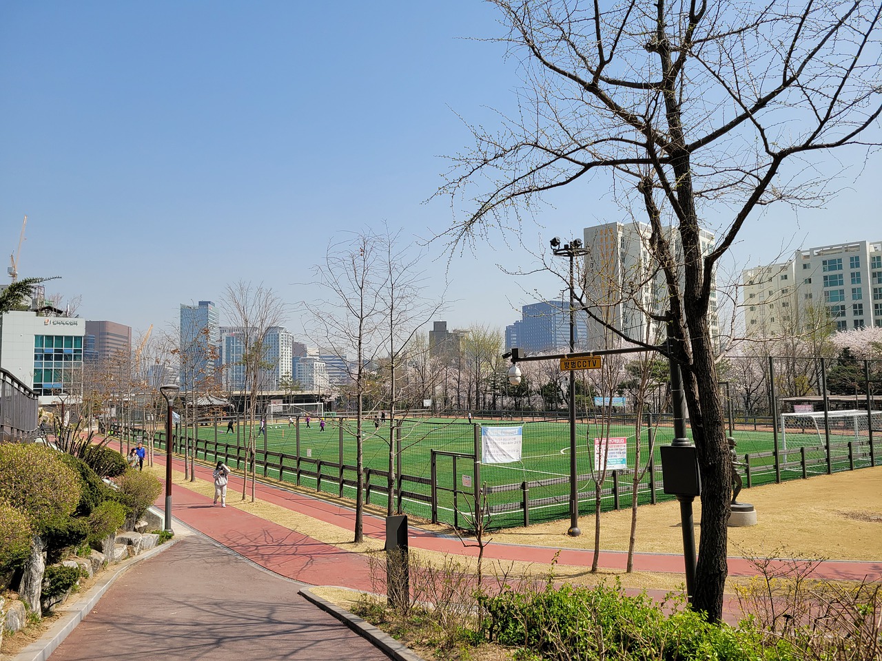 使得切尔西 使得切尔西